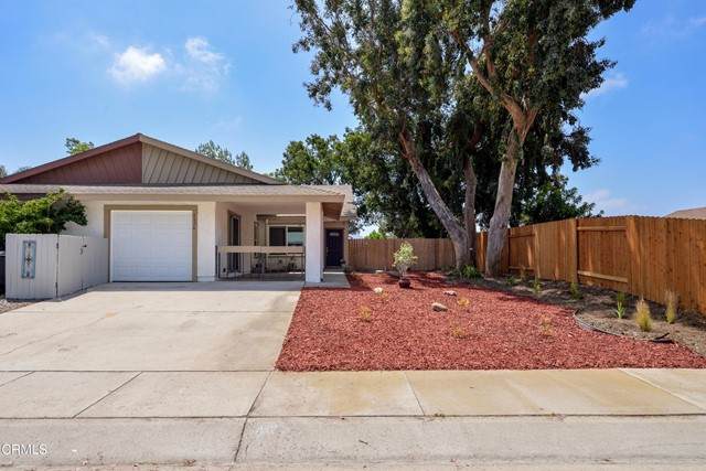 4824 Colony Drive - Photo 1