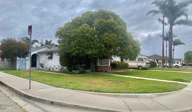 205 Guava Street - Photo 1
