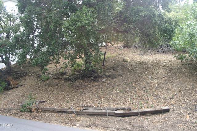 3741 Avenida Del Sol - Photo 1