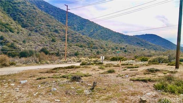 4521 Race Trail - Photo 1