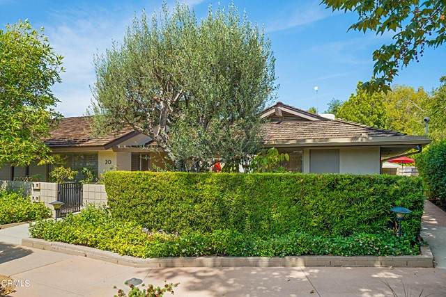 1040 Orange Grove Boulevard - Photo 1