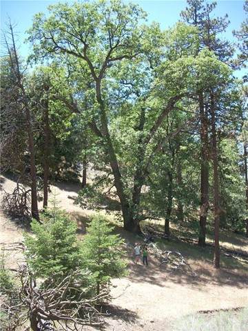 16701 Matterhorn Drive - Photo 1