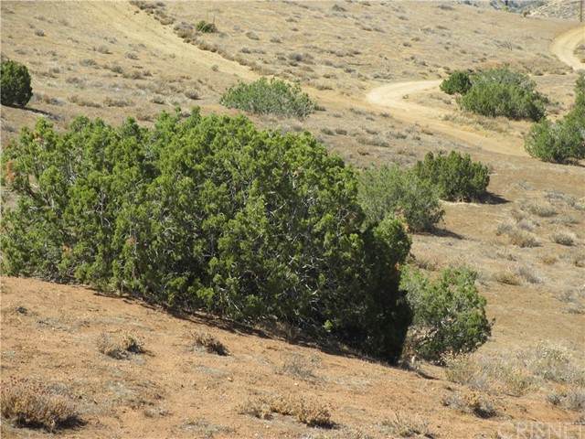 0 Governor Mine Road - Photo 1