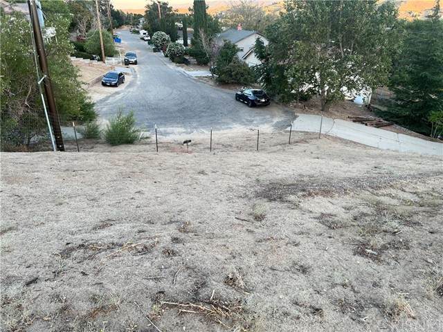 0 Vac/Sunnydale Dr/Vic Walkatop Road - Photo 1