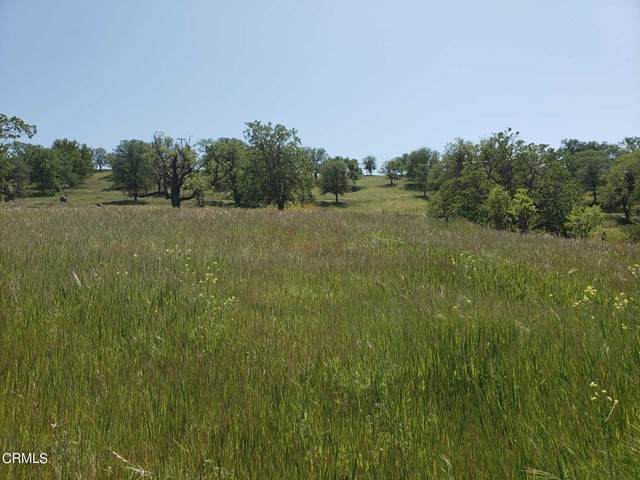 0 Roan Court - Photo 1