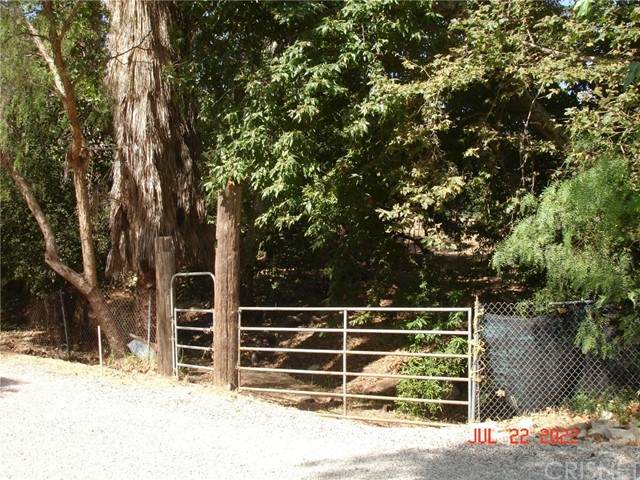 1075 Lookout Trail Road - Photo 1