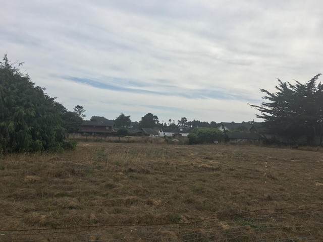 860 Hazelwood Street - Photo 1