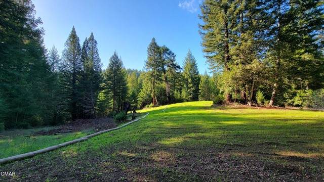 26030 Comptche Ukiah Road - Photo 1