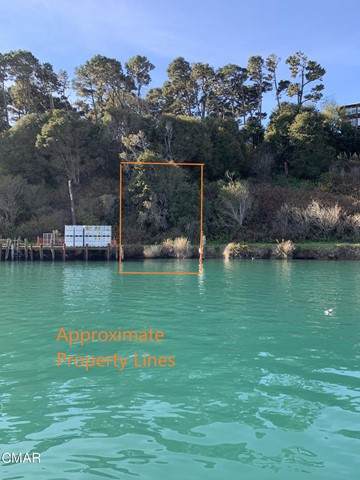 0 Bank Of The Noyo River - Photo 1