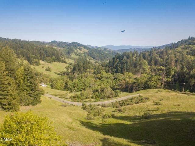 3521 Williams Ranch Road - Photo 1