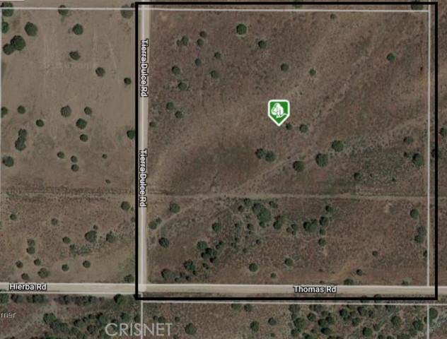 0 Thomas Rd/Tierra Dulce Road - Photo 1