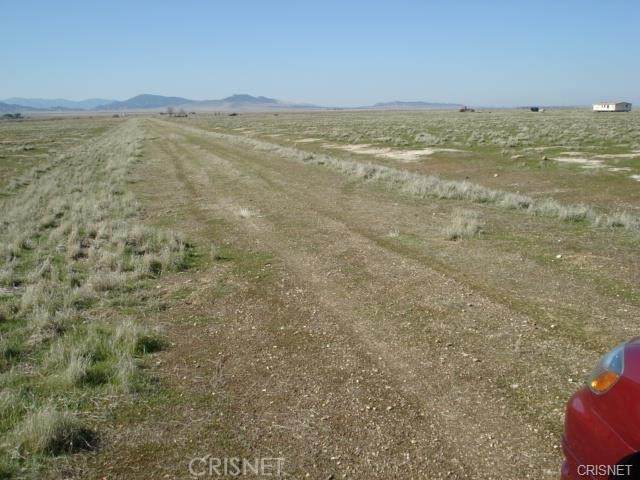 11138 Del Loma - Photo 1