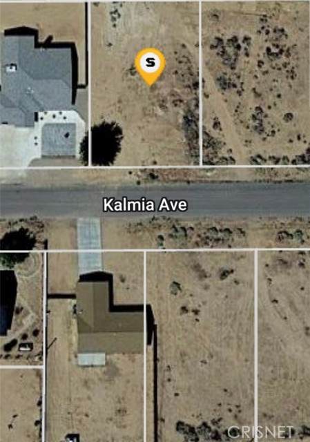 0 Kalmia - Photo 1