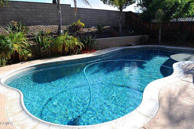 29201 Hydrangea Street - Photo 1