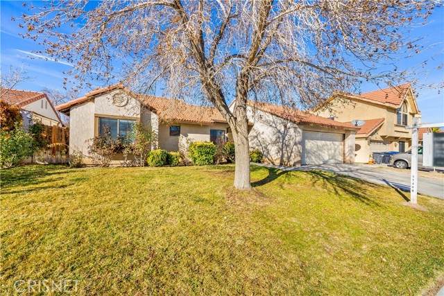 37735 Tackstem Street - Photo 1