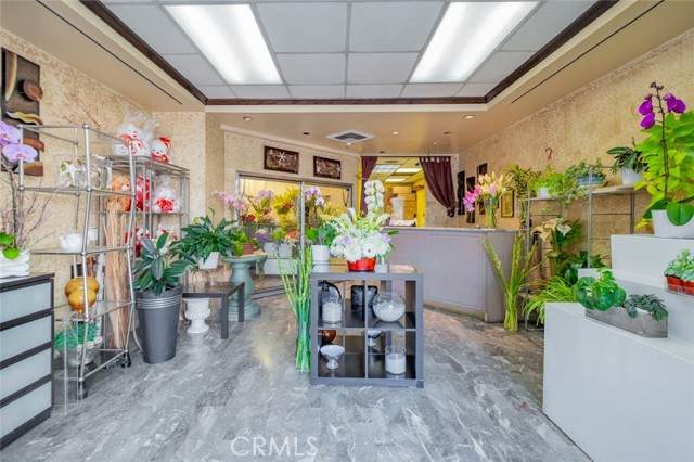 515 Olive Street - Photo 1