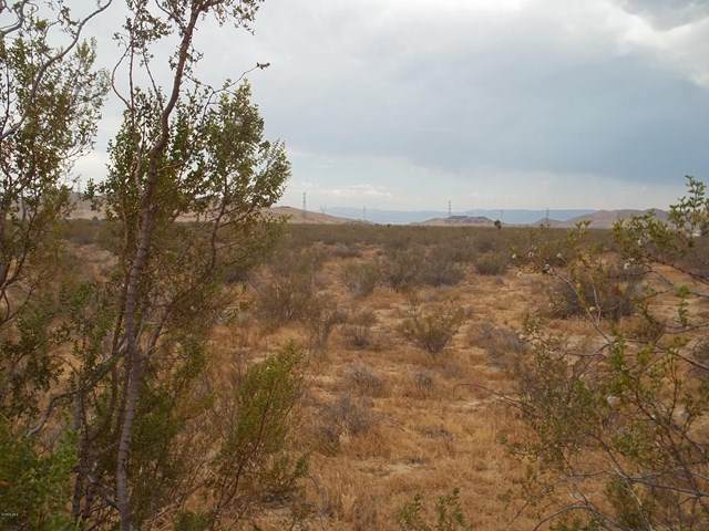Backus Road - Photo 1