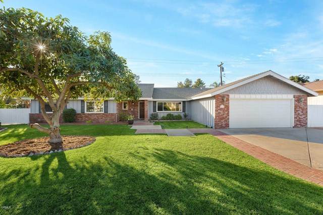 237 Geneive Circle - Photo 1