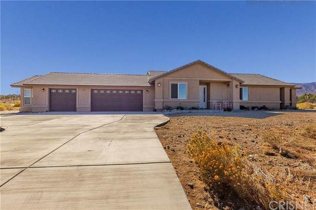 1675 Daisy Lane - Photo 1