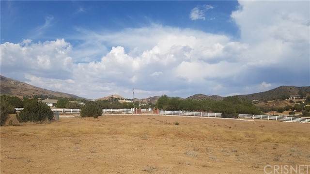 35407 Robinsong Road - Photo 1