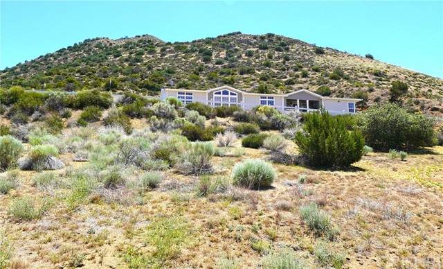 32318 Angeles Forest - Photo 1