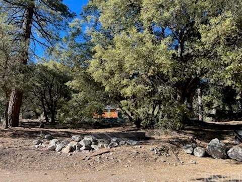 1813 Freeman Drive - Photo 1