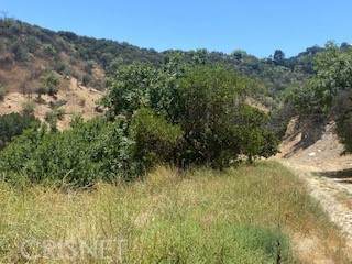 13361 Newcomb - Photo 1