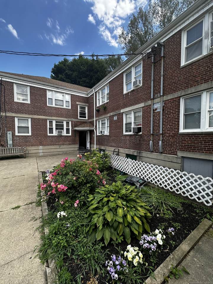 116 Canaan Bldg 83-13 Court - Photo 1