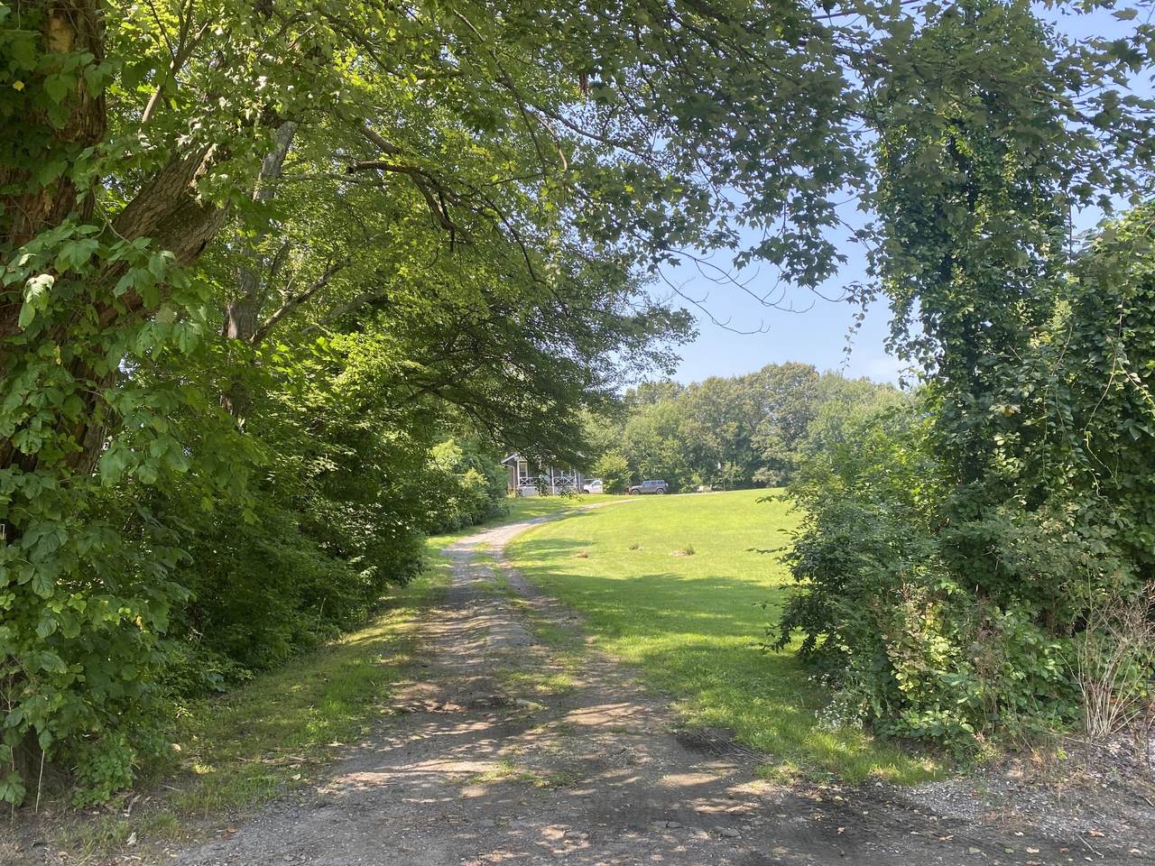 431 Chestnut Hill Avenue - Photo 1