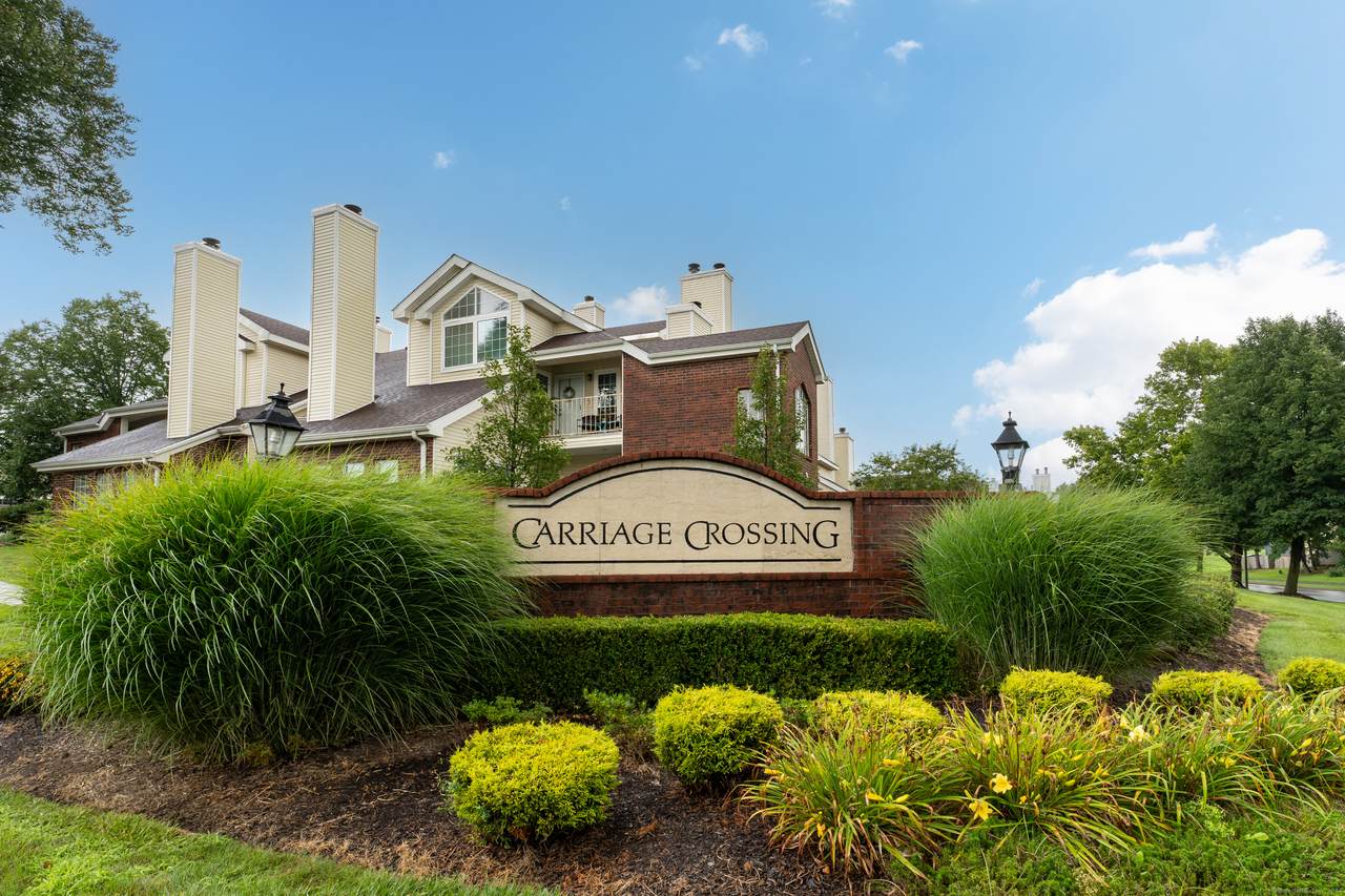 271 Carriage Crossing Lane - Photo 1