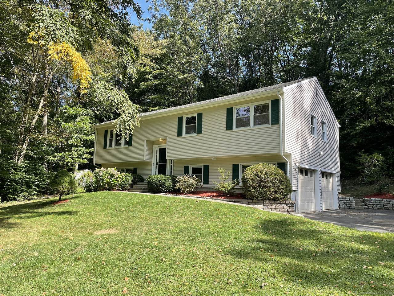 337 Peter Road - Photo 1
