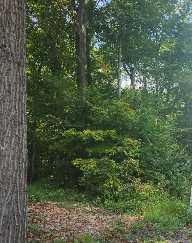  Waterbury Road - Photo 1