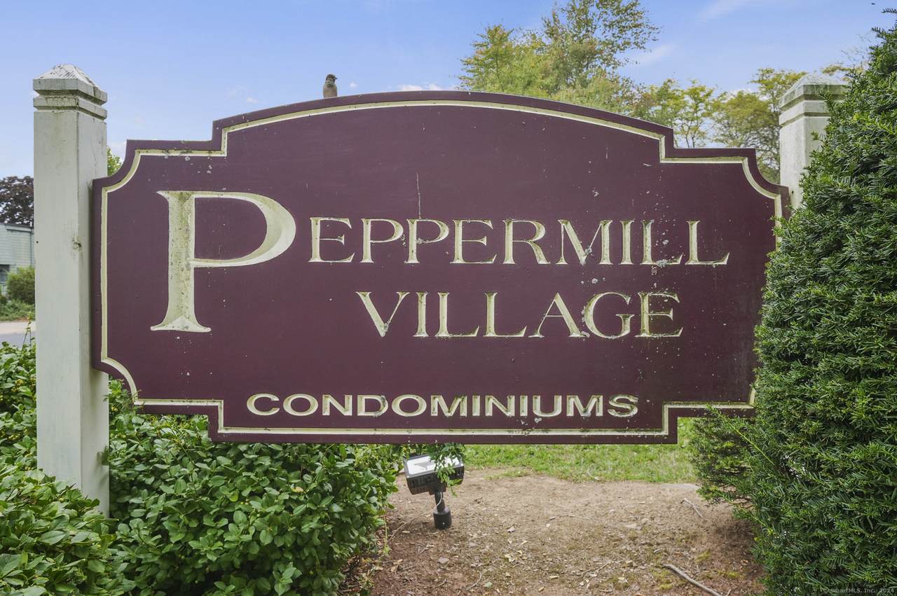 114 Burgundy Hill Lane - Photo 1