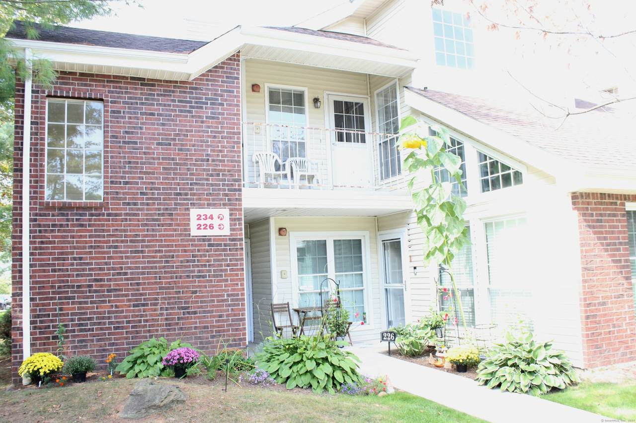 234 Carriage Crossing Lane - Photo 1