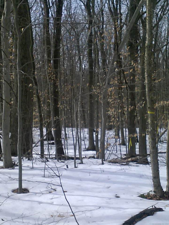  Suffield Street - Photo 1