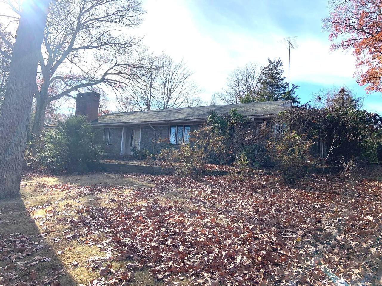 75 Pumpkin Ground Road - Photo 1