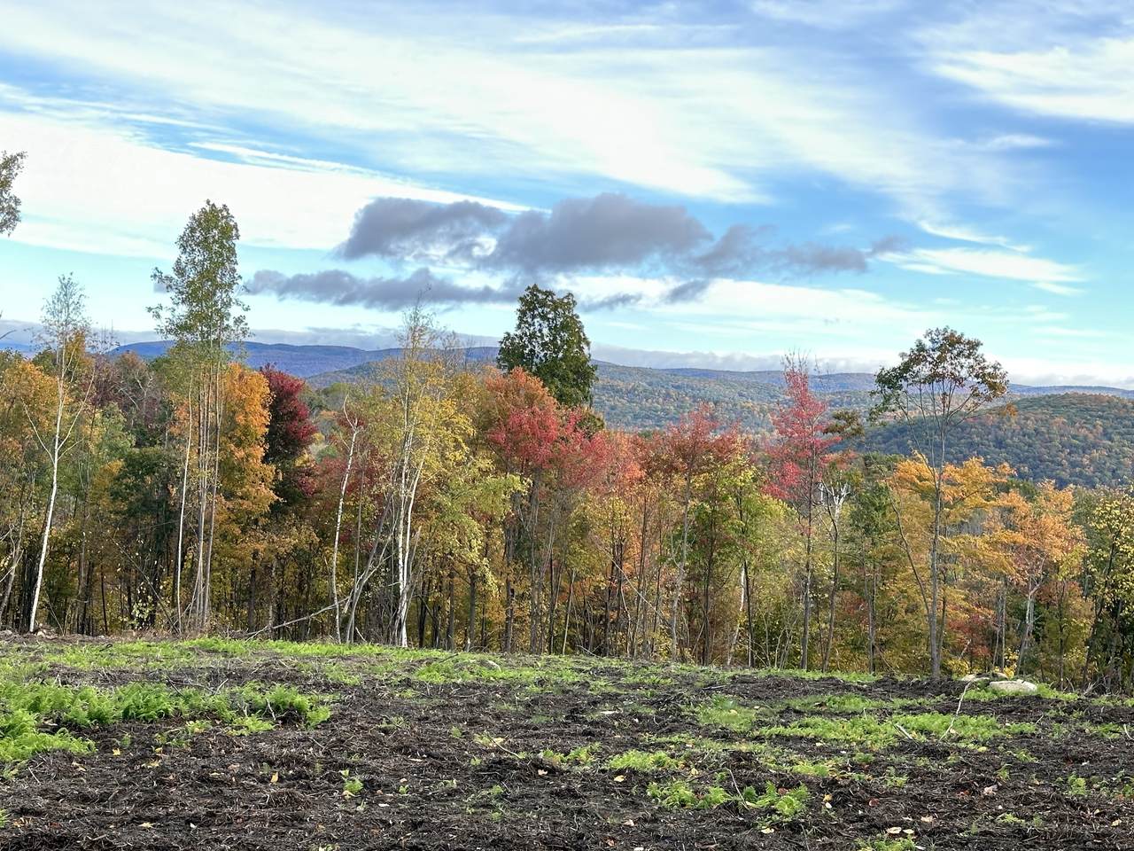  Swaller Hill Road - Photo 1