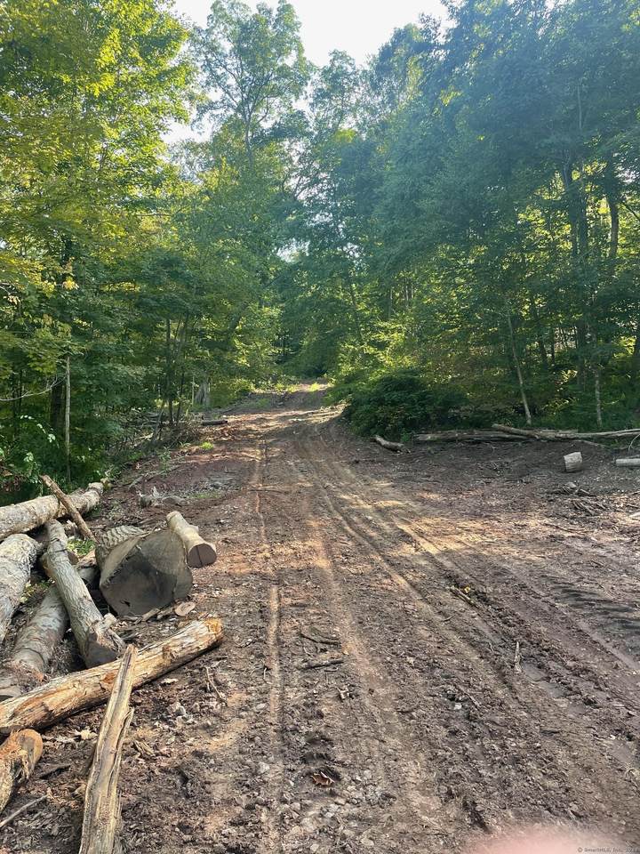 20 Old Birch Road - Photo 1