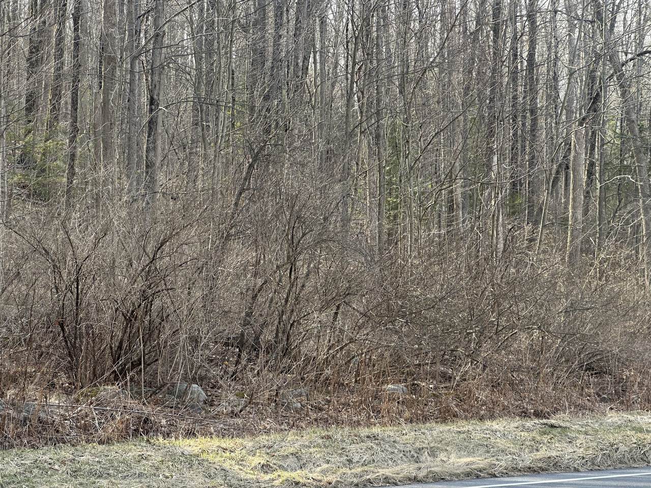 00 Torrington Road - Photo 1