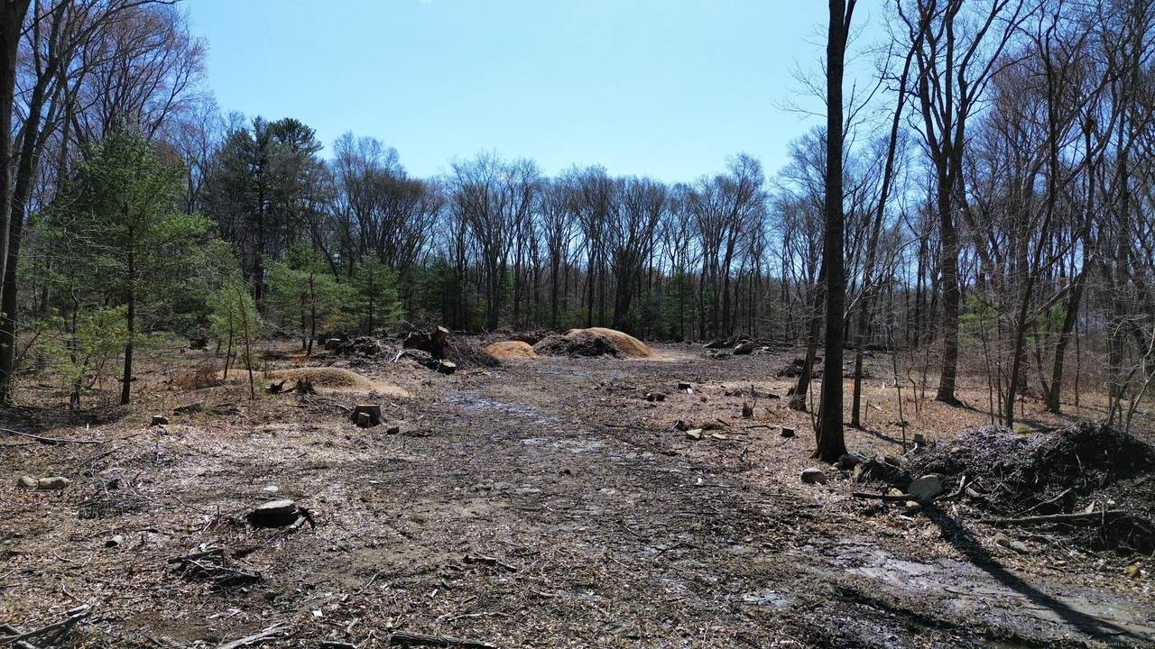 520 Pendleton Hill Road - Photo 1