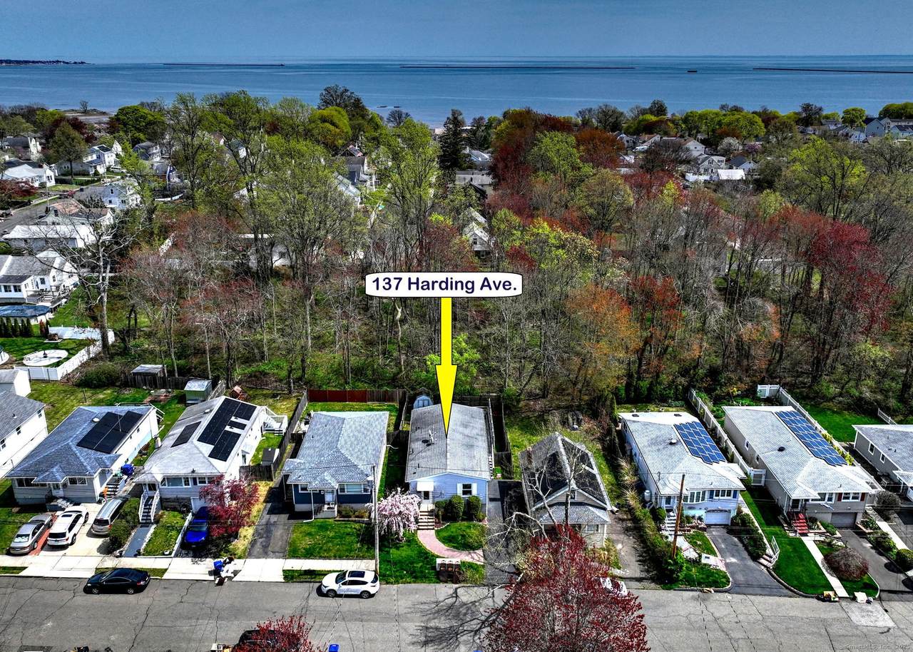 137 Harding Avenue - Photo 1