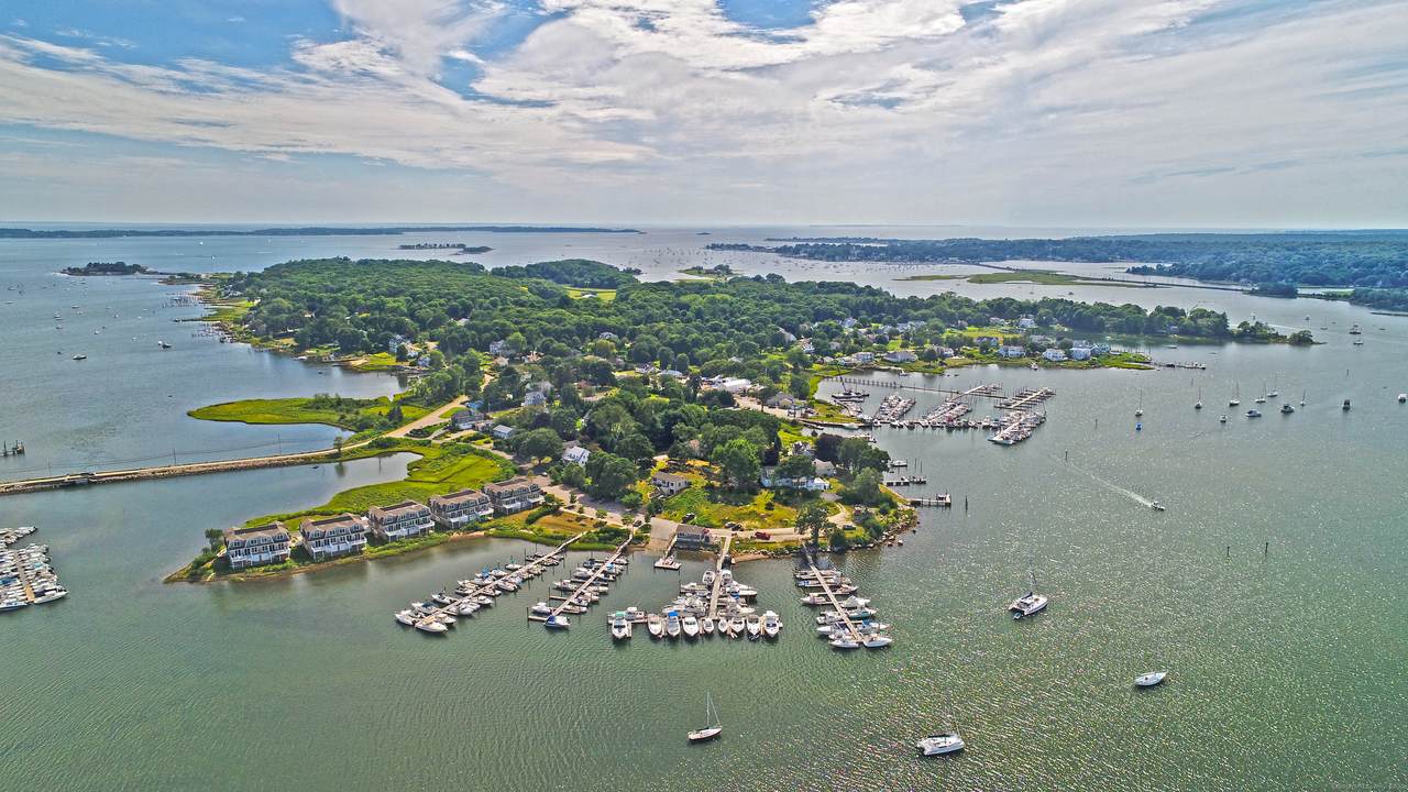 10 Kingfisher Way - Photo 1