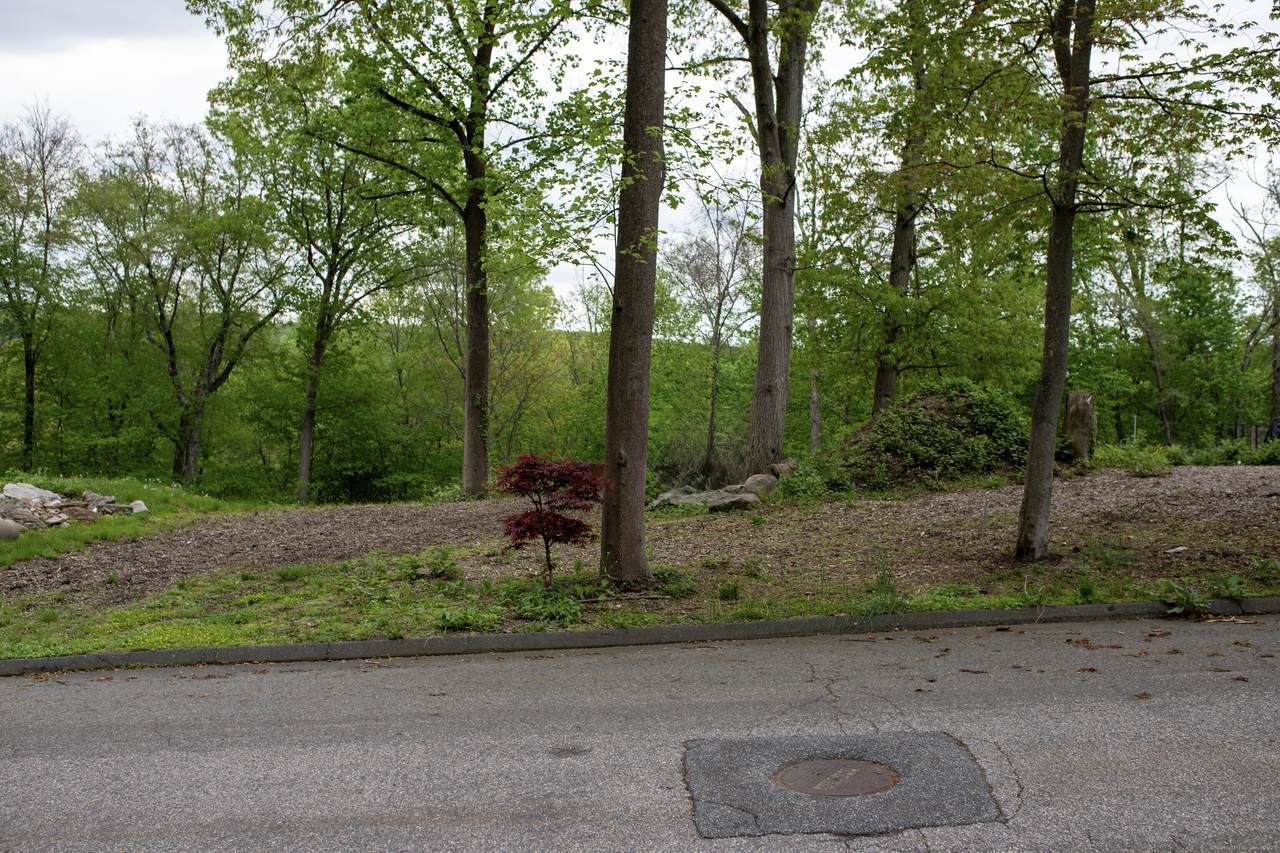 Lot 31 Valley View Road - Photo 1