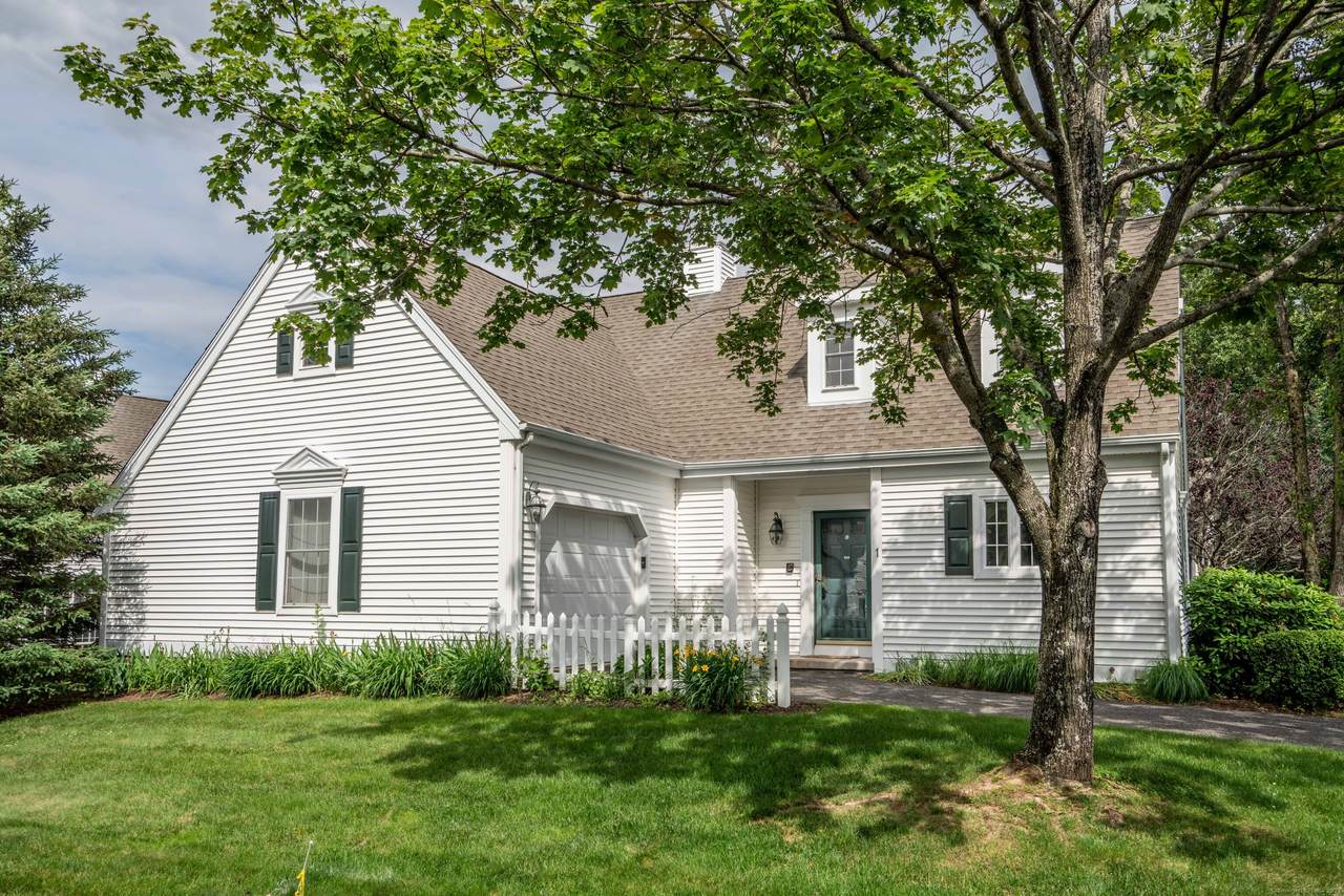 1 Primrose Lane - Photo 1