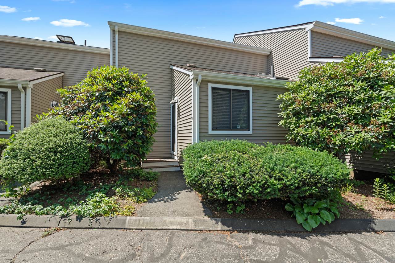 37 Hewitt Road - Photo 1