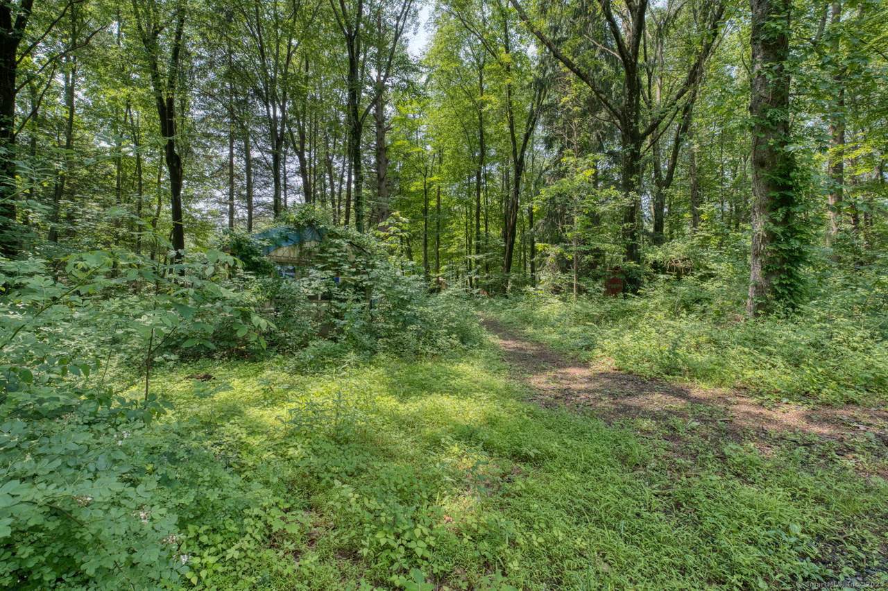 Edgewood Road - Photo 1