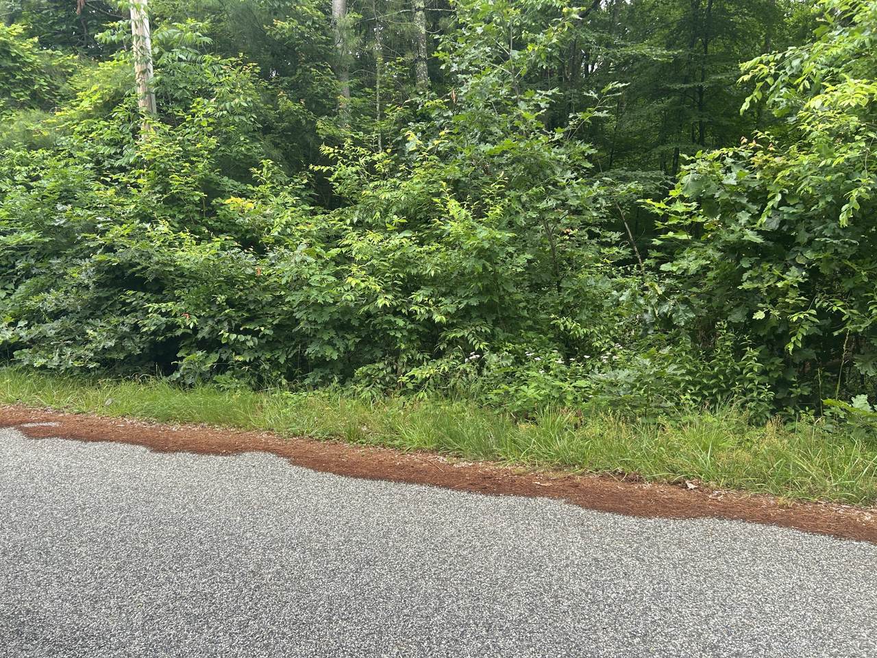 Chapman Road - Photo 1
