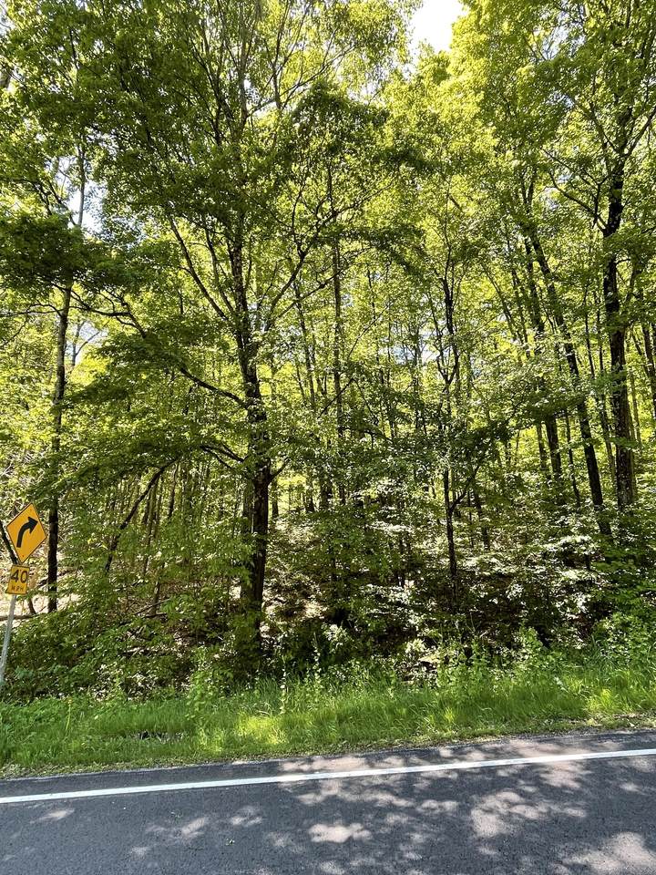 710 Smithfield Road - Photo 1