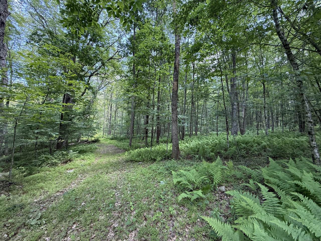 350 Breakneck Hill Road - Photo 1