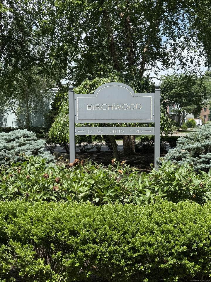 13 Hills Lane - Photo 1